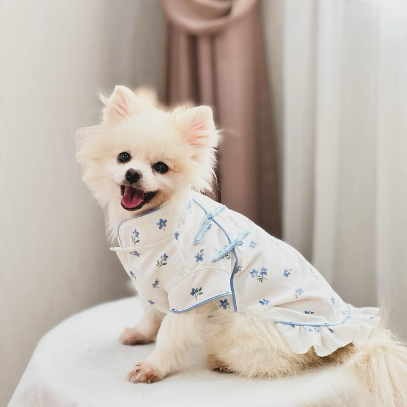 #พร้อมส่ง 🩷🩵 FairyTail รุ่น Bouquet เสื้อหมาแมว ลายดอกไม้ คอจีน #พร้อมส่ง