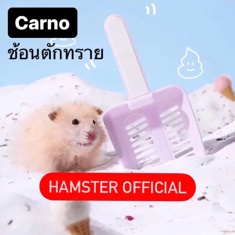 รูปภาพ 3