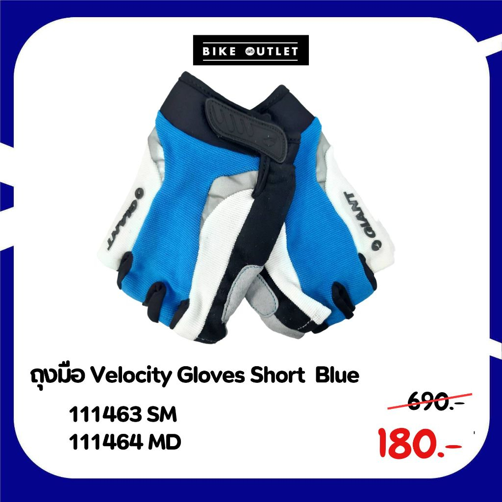 ถุงมือจักรยาน Giant Velocity Gloves Short  Blue