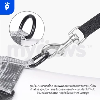 [🔥Clearance Sale]My Paws สายรัดอกสัตว์เลี้ยง พรีเมี่ยม สายรัดอกสุนัข