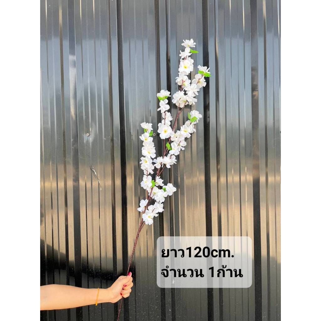 ซากุระ ประดิษฐ์ ก้านซากุระ ยาว120cm. และ ซากุระย้อย ยาว130cm. ดอกเหมย สำหรับใส่กระถาง แจกัน - รูปที่ 7