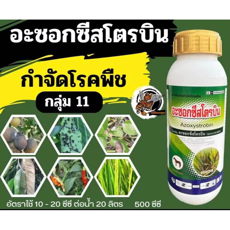 อะซอกชีสโตรบิน 1 ลิตร