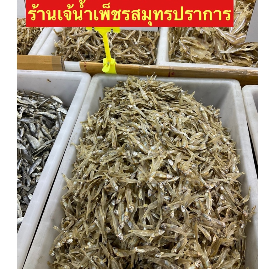 ปลากระตักมีหัวทะเลอ่าวไทยขนาด500กรัม