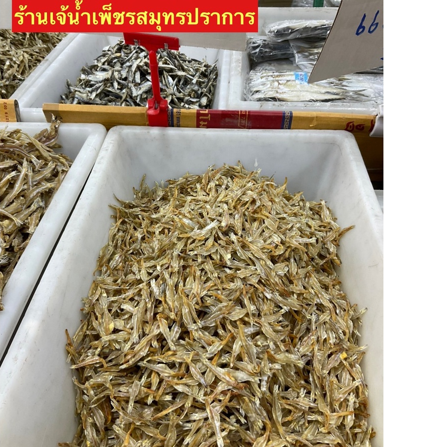 ปลากระตักเกรดAอร่อยรสชาติไม่เค็มไม่มีหัวขนาด500กรัม