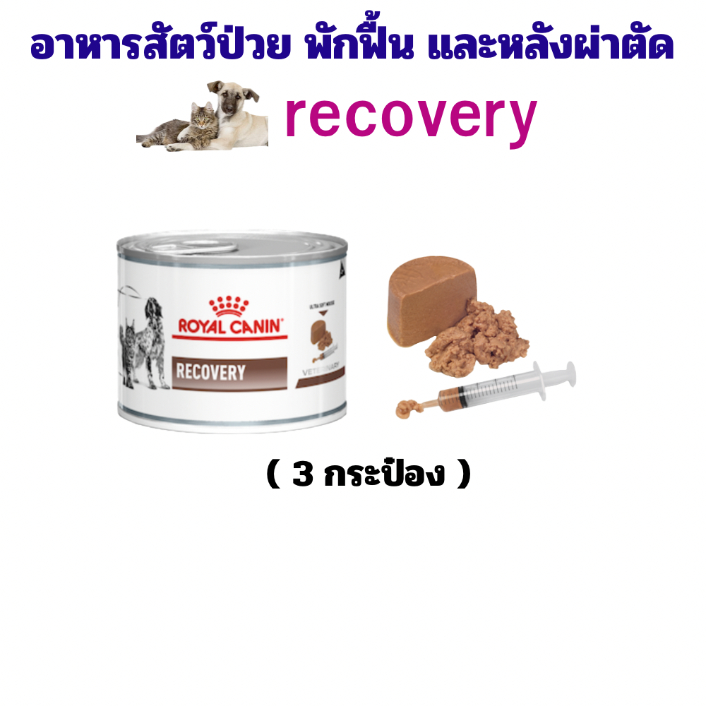 royal canin อาหารสัตว์ป่วย พักฟื้น และผ่าตัด recovery (สุนัขและแมว) 3 กระป๋อง (หมดอายุ: 15/05/2025)