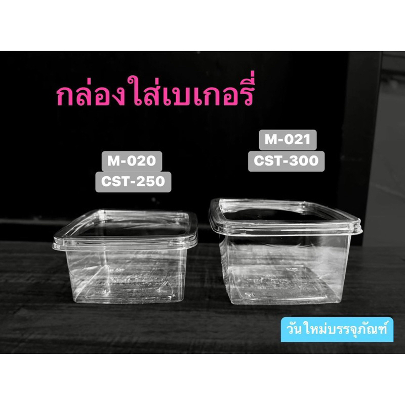 (ขายยกลัง)กล่องสี่เหลี่ยม M-020(CST-250),M-021(CST-300)พร้อมฝาปิดสนิท ลังละ400ชิ้น**สั่งออเดอร์ละ1ลั