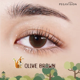 PEGAVISION คอนแทคเลนส์สี รายวัน รุ่น Forest Miracle สี Olive Brown (10 เลนส์/กล่อง)
