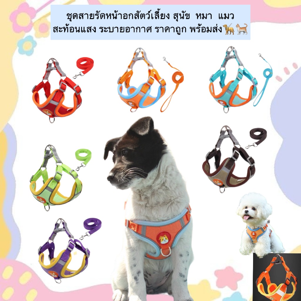 PP-535 ชุดสายรัดหน้าอกสัตว์เลี้ยง (สะท้อนแสง) เหมาะสำหรับสุนัขและแมว ใช้งานง่าย สวมใส่สบาย ระบายอากาศดี