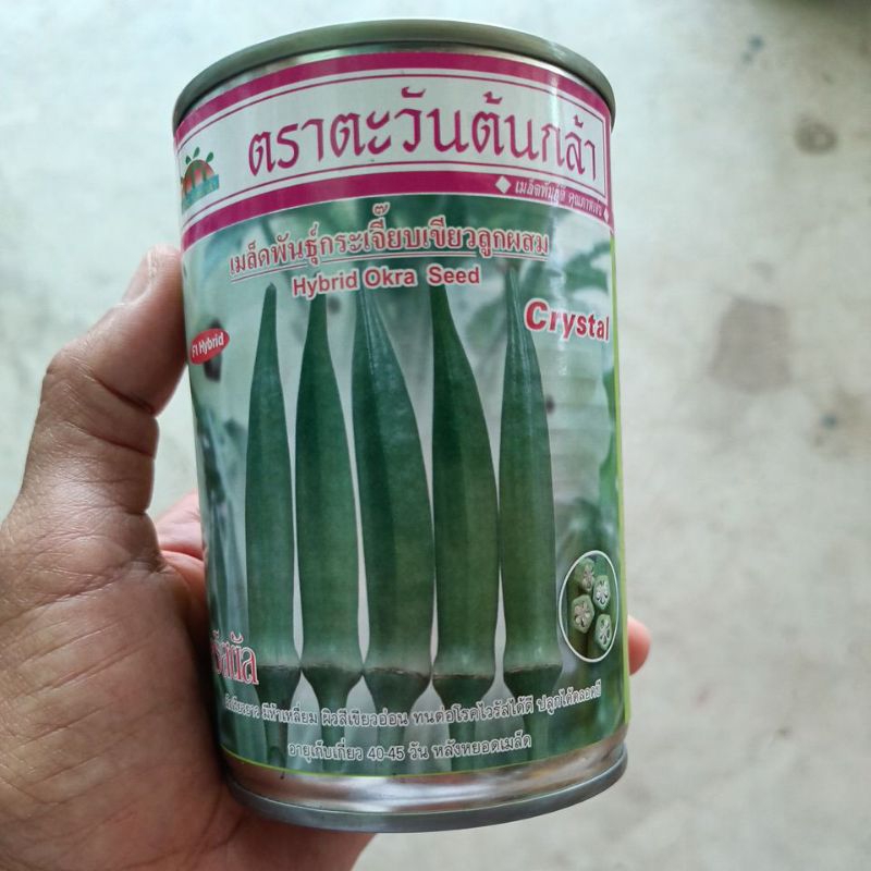 เมล็ดพันธุ์กระเจี๊ยบเขียว คริสตัล 100กรัม ตราตะวันต้นกล้า