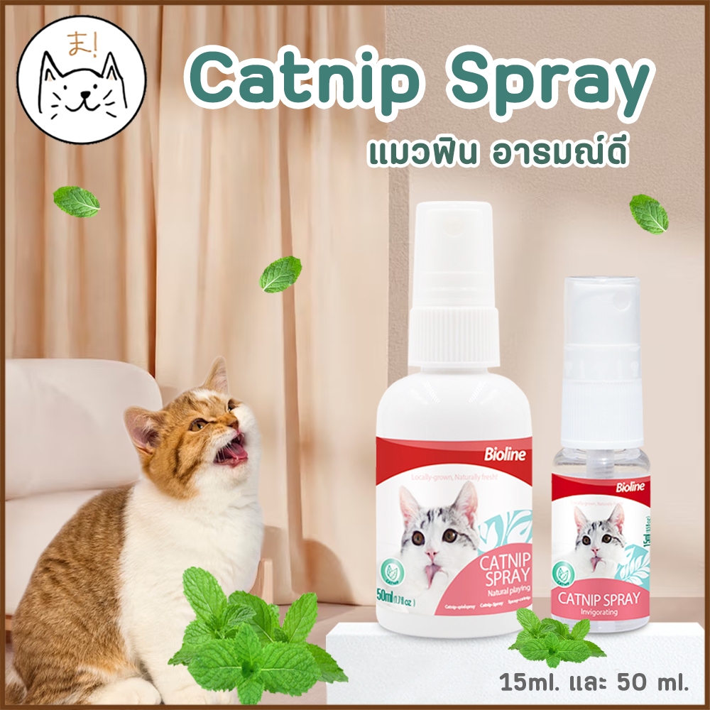 KUMAま Catnip Spray สเปร์ยแคทนิป แมวฟิน อารมณ์ดี สเปรย์หญ้าแมว หญ้าแมว สมุนไพรแมว แคทนิป กัญชาแมว น้ำมันแคทนิปสกัดเข้มข