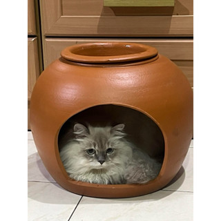 โอ่งแมว ขนาด 14 นิ้ว น้องแมวนอนได้สบาย แมว 4-6 โลนอนได้ ใบให…