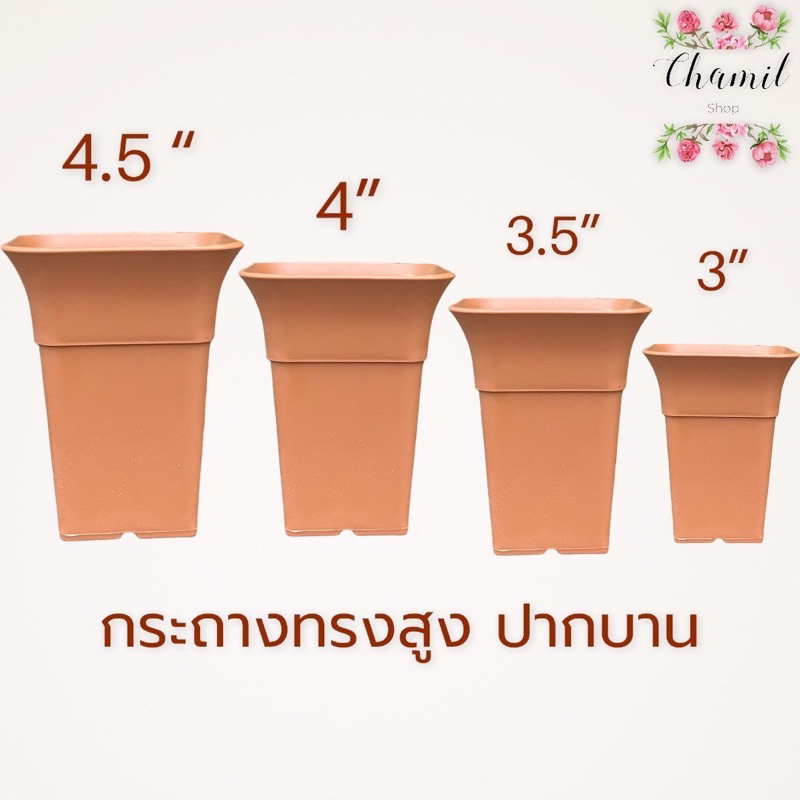 กระถางต้นไม้ทรงสูงปากบาน 3 นิ้ว / 4 นิ้ว / 4.5 นิ้ว กระถางต้นไม้พลาสติก ทรงสูงปากบาน กระถางแคนตัส กระถางขนาดเล็ก