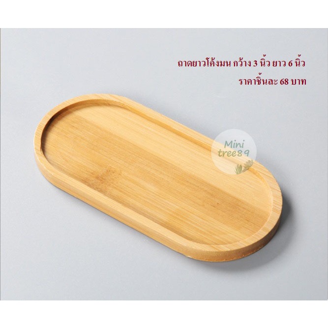 ถาดรองไม้ สีครีม ถาดเปล่า (ขนาด 3นิ้ว หรือ 8 เซนติเมตร) จ.น 3 ชิ้น เเละ 9เซ็น มีหลายขนาดหลายตัวเลือกด้านใน minitree89🌵🪴 - รูปที่ 3