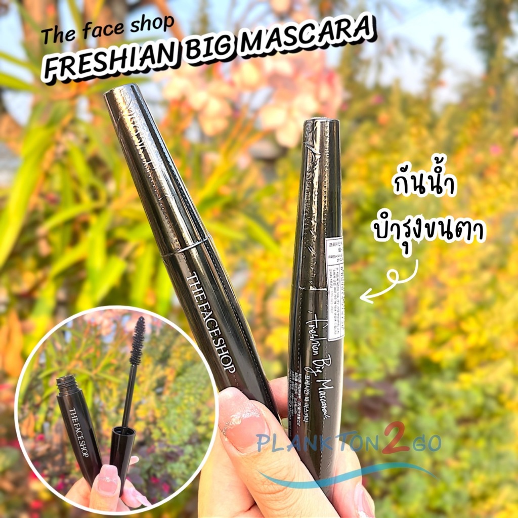 มาสคาร่า THE FACE SHOP FRESHIAN BIG MASCARA EX 01 CURLING
