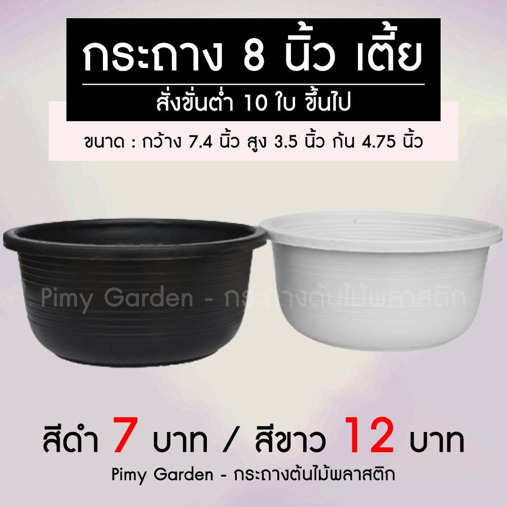กระถางต้นไม้ ค่อม 8 นิ้ว เตี้ย สีขาว สีดำ - ขั่นต่ำ 10 ใบ