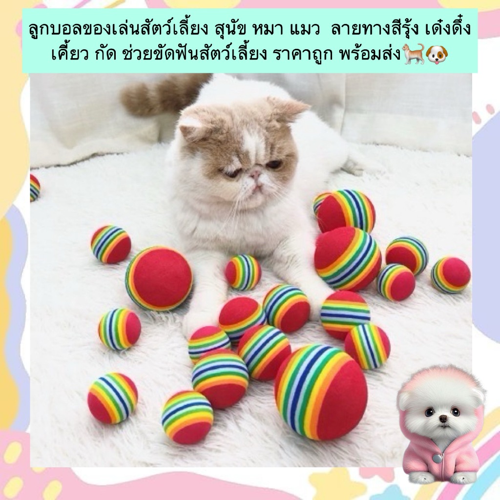 AL-525 ลูกบอลของเล่นสัตว์เลี้ยง สุนัข หมา แมว  ลายทางสีรุ้ง เด๋งดึ๋ง เคี้ยว กัด ช่วยขัดฟันสัตว์เลี้ยง ราคาถูก พร้อมส่ง🐈🐶