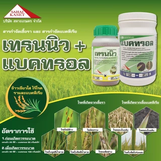เทรนนิว + แบคทรอล (ของแท้) กำจัด เชื้อรา โรคไหม้ ใบขีด ใบจุด ขอบใบแห้ง ใบขีดโปร่งแสง เมล็ดด่าง