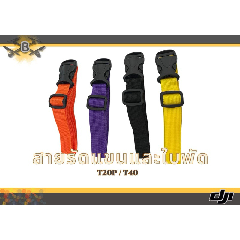 รูปภาพ 3