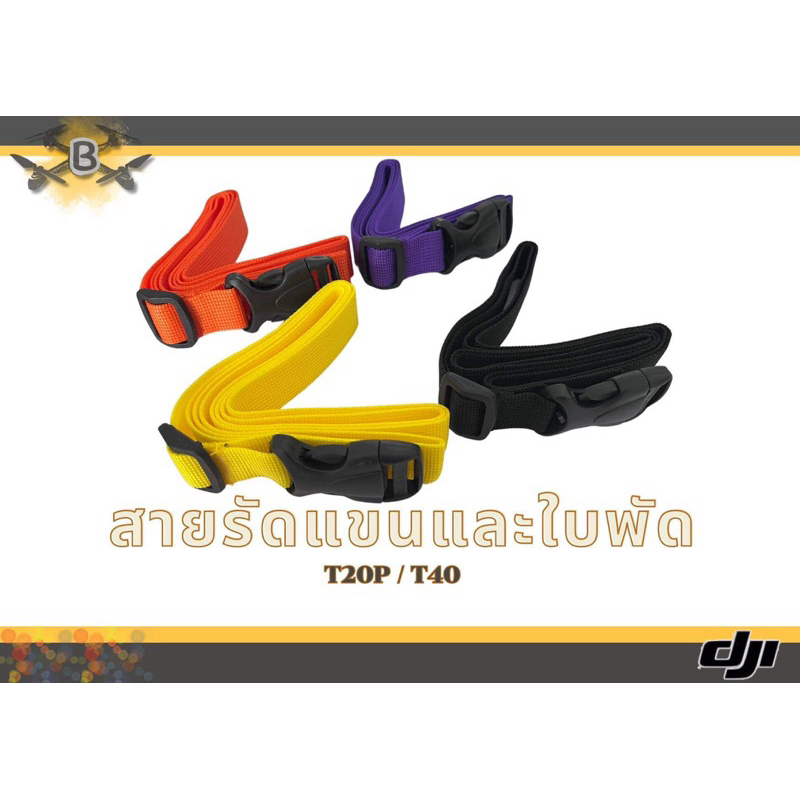 รูปภาพ 2