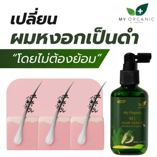 [โปรเดือนก.ค.] My Organic แก้ผมหงอก แก้ผมร่วง ผมบาง ผมหงอก แชมพูปิดหงอก แบรนด์ My Organic เซรั่มผม My Organic แฮร์โทนิค