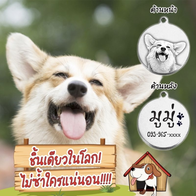 จี้ห้อยคอน้องหมา น้องแมว ป้ายชื่อสัตว์เลี้ยง
