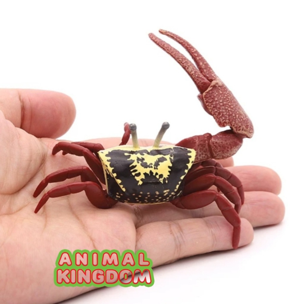 Animal Kingdom โมเดลสัตว์ Crab ปู ก้ามดาบ ลม ขนาด 9.00 CM (จากหาดใหญ่) ราคา ถูกที่สุด ดีลบีเคเค