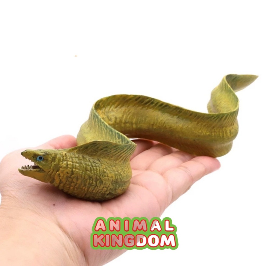 Animal Kingdom โมเดลสัตว์ Eel ปลาไหล มอเรย์ เขียว ขนาด 22.00 CM (จากหาดใหญ่)