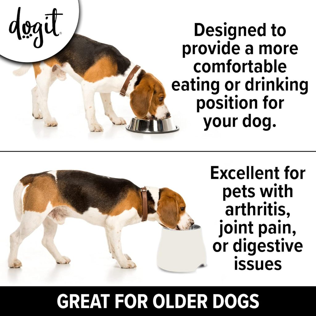 ชามอาหารสุนัข Dogit Elevated Dog Dish Small สีขาว ชามอาหารสแตนเลสแบบฐานต่ำ มียางกันลื่นด้านล่าง สำหรับพันธ์เล็ก