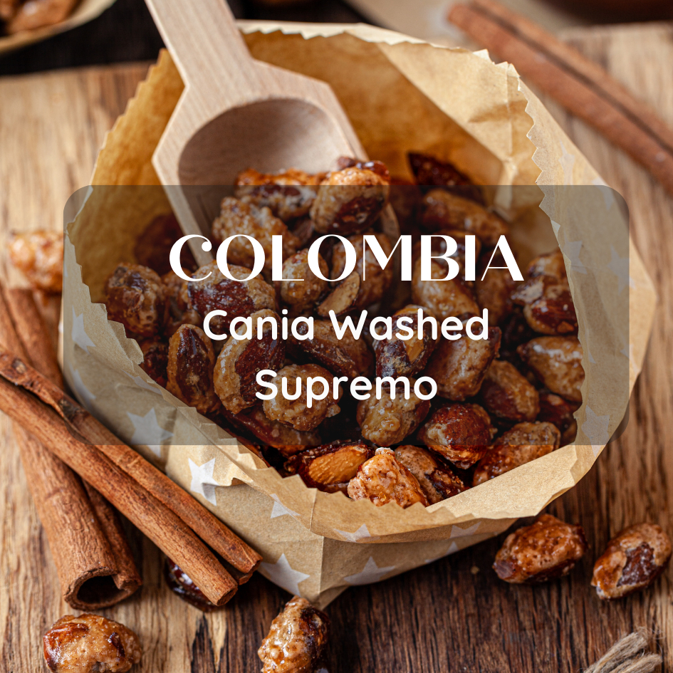 สารเมล็ดกาแฟ Colombia Cania Washed Supremo 1000g
