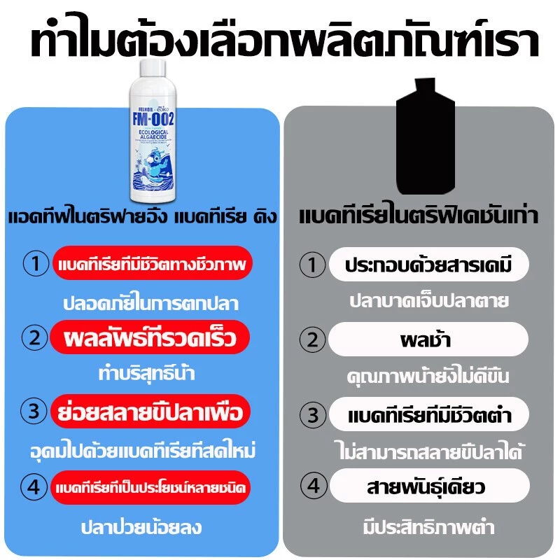 จุลินทรีย์บ่อปลา สลายอุจจาระปลา ปรับสภาพน้ำ ขจัดสารพิษ น้ำใส thumbnail 7