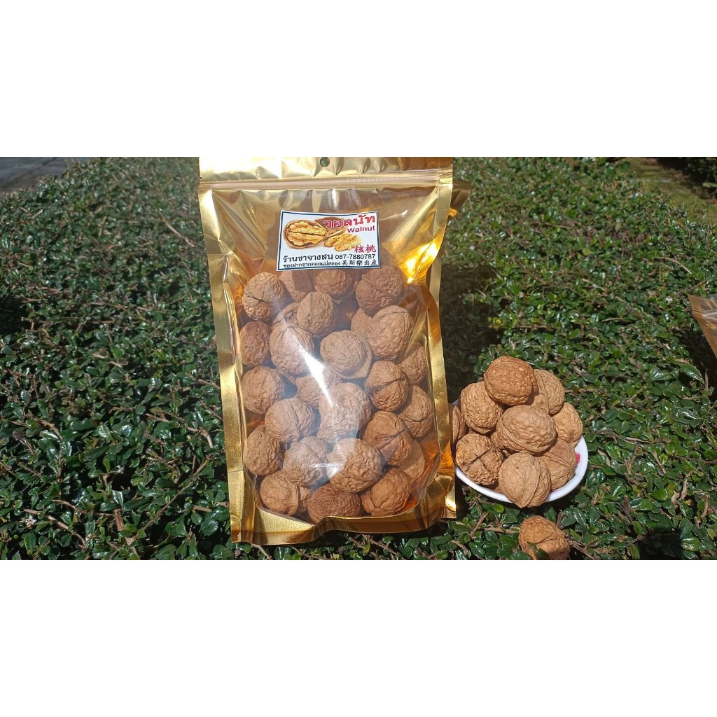 วอลนัทอบแห้ง核桃干 (dried walnuts)