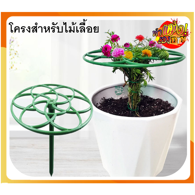 โครงไม้เลื้อยแบบวงกลม สามารถวางซ้อน ต่อชั้นได้ ขนาด 23*20 ซม