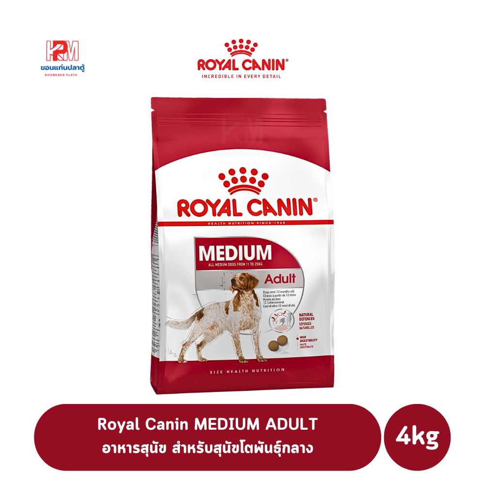 Royal Canin MEDIUM ADULT อาหารสุนัข สำหรับสุนัขโตพันธุ์กลาง ขนาด 4 KG.