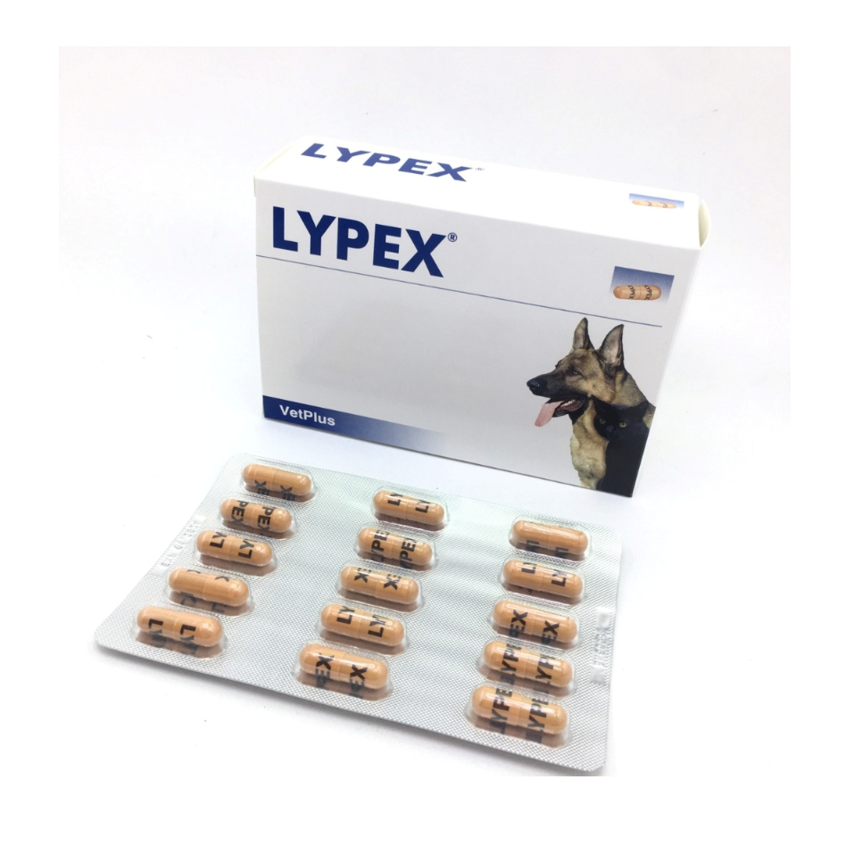 Lypex (ยกกล่อง 60 tab) ไลเป็กซ์ สำหรับสุนัข-แมว