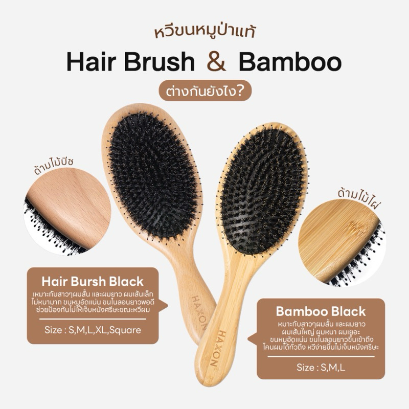 Haxon Boar-Bristle Hairbrush หวีขนหมูป่าแท้ ขนหมูอัดแน่น หวีลดผมร่วง ช่วยให้ผมเงางาม แก้ผมพันกัน นวด