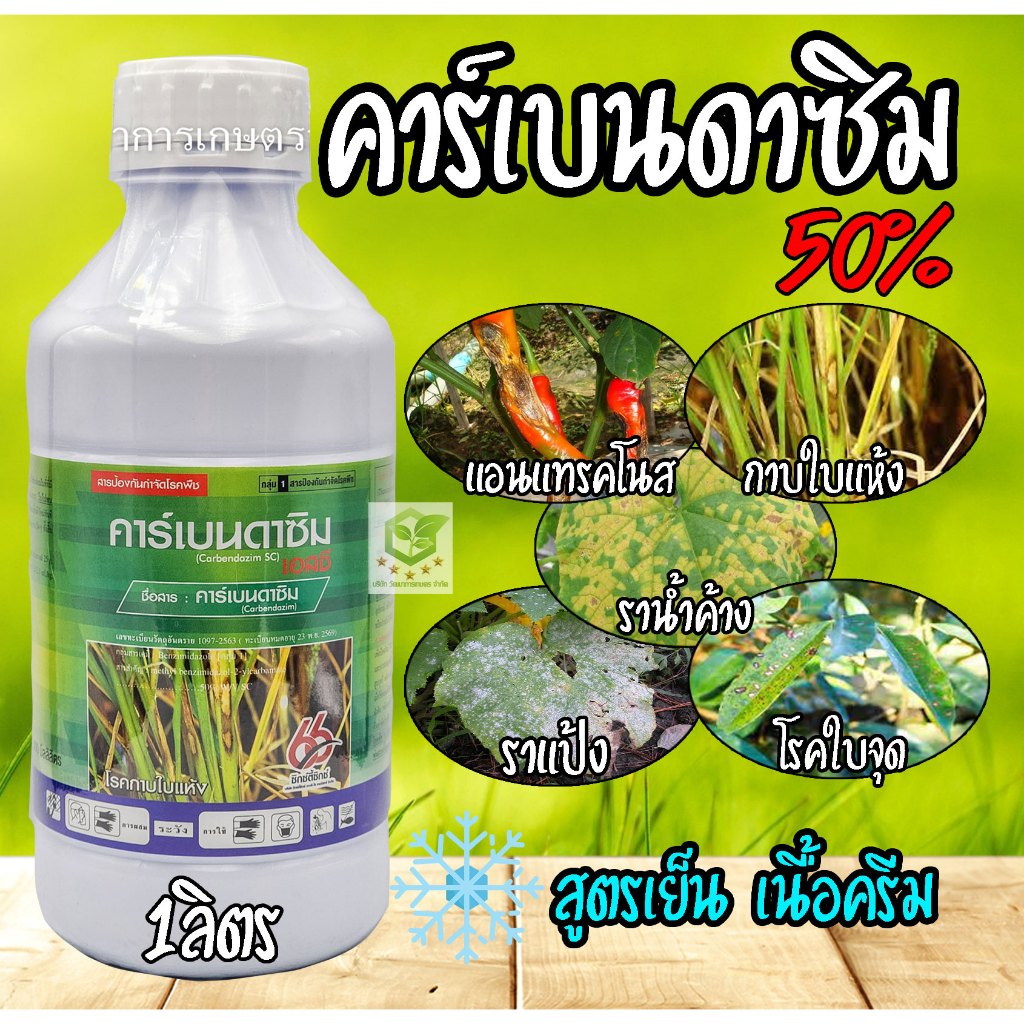 คาร์เบนดาซิม 66( Carbendazim )1 ลิตร  สารป้องกันและกำจัดโรคพืช ดูดซึม ใบไหม้ ใบขีดสีน้ำตาล ใบจุด กาบใบแห้ง โรคราแป้ง โร