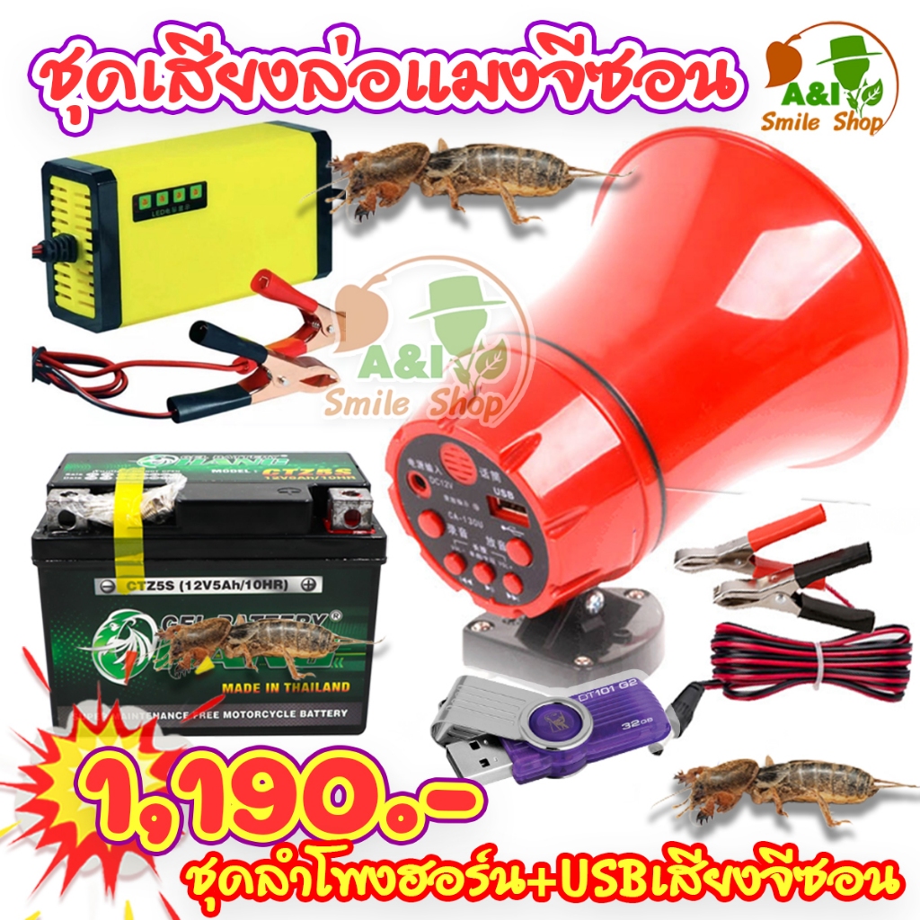ชุดเสียงล่อแมงจีซอน พร้อมใช้งาน เปิดได้ทั้งคืน