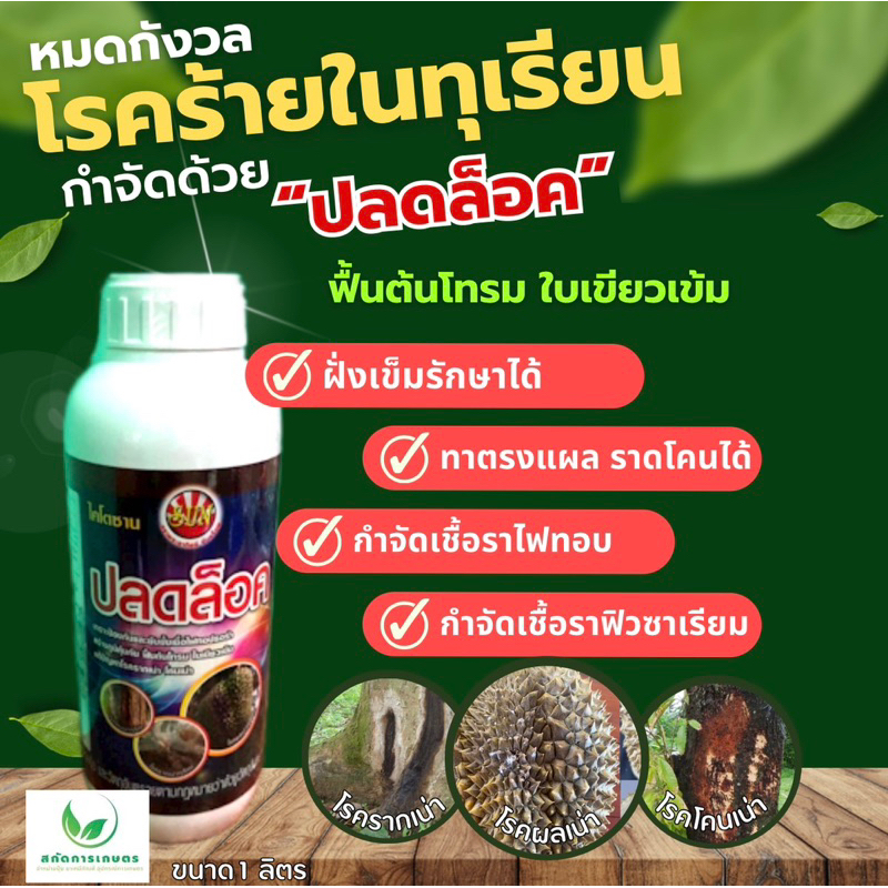 ปลดล็อค ขนาด 1 ลิตร รากเน่าโคนเน่า ผลเน่า ฝังเข็ม ทาแผล ราดบริเวณโคนต้นรักษาได้
