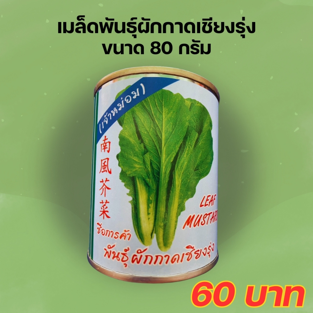 เมล็ดพันธุ์ผักกาดเชียงรุ่ง ขนาด 80 กรัม (เจ้าหม่อม)