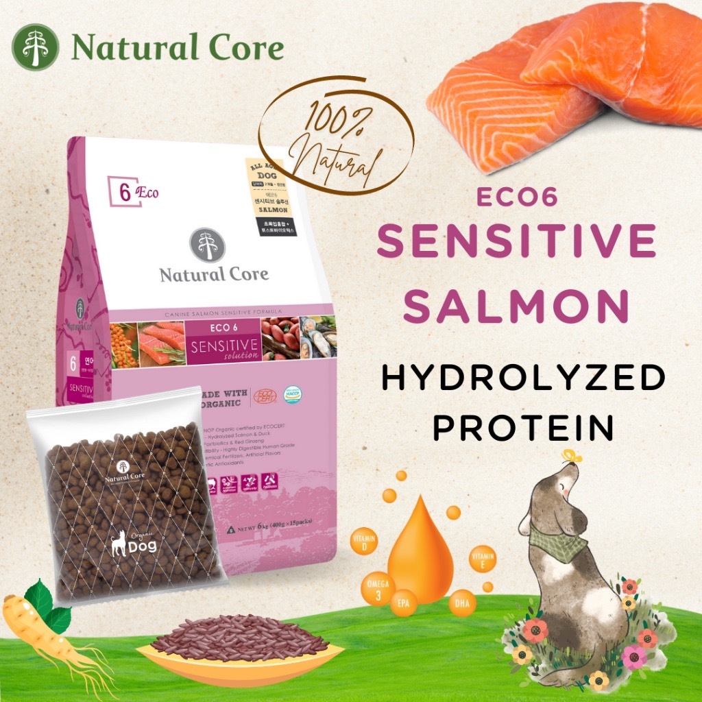 (1kg)Natural Core ECO 6Salmon SB สูตรเนื้อปลาเเซลมอน เหมาะสำหรับสุนัขที่แพ้ง่าย นำเข้าจากประเทศเกาหลี🇰🇷