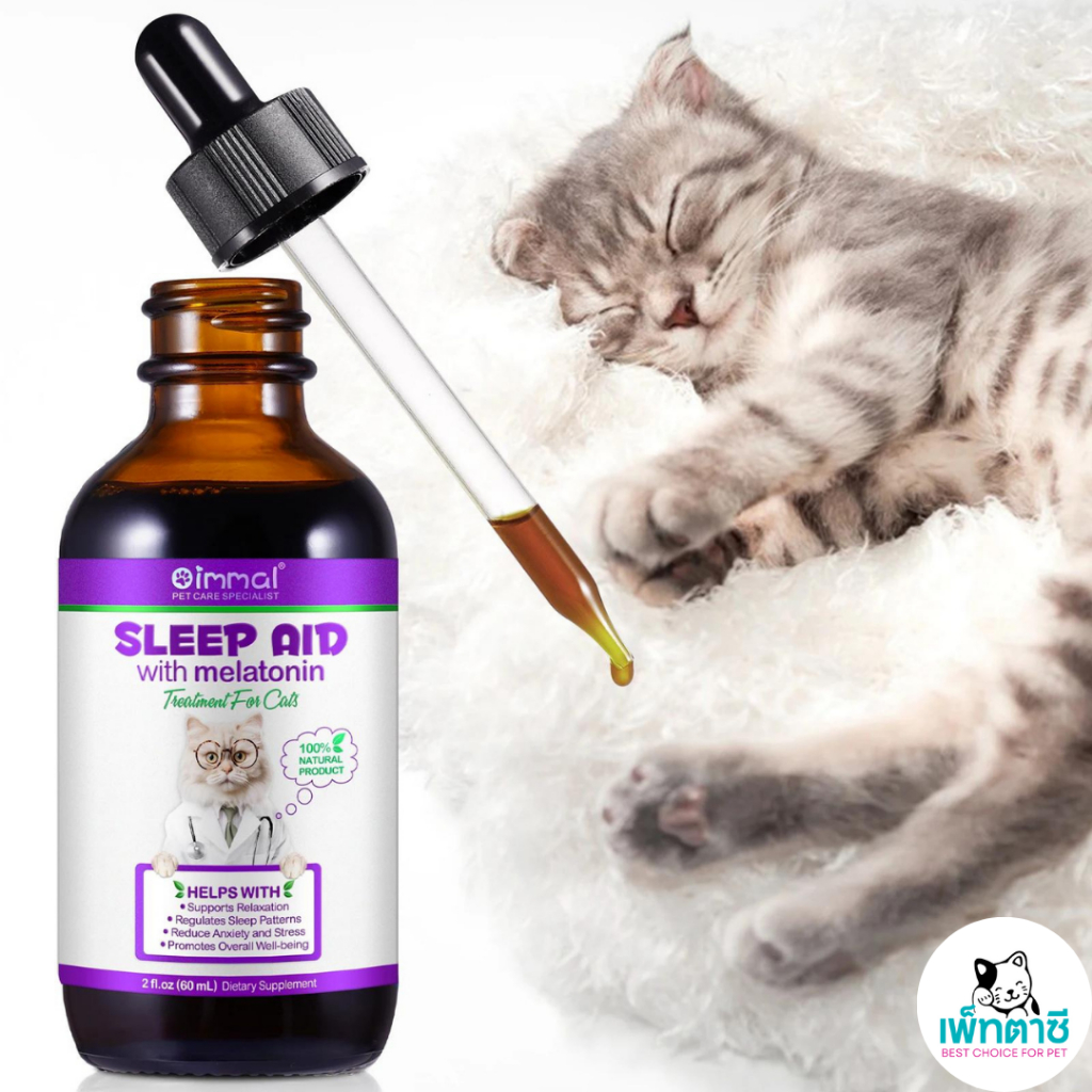 รูปภาพ 7