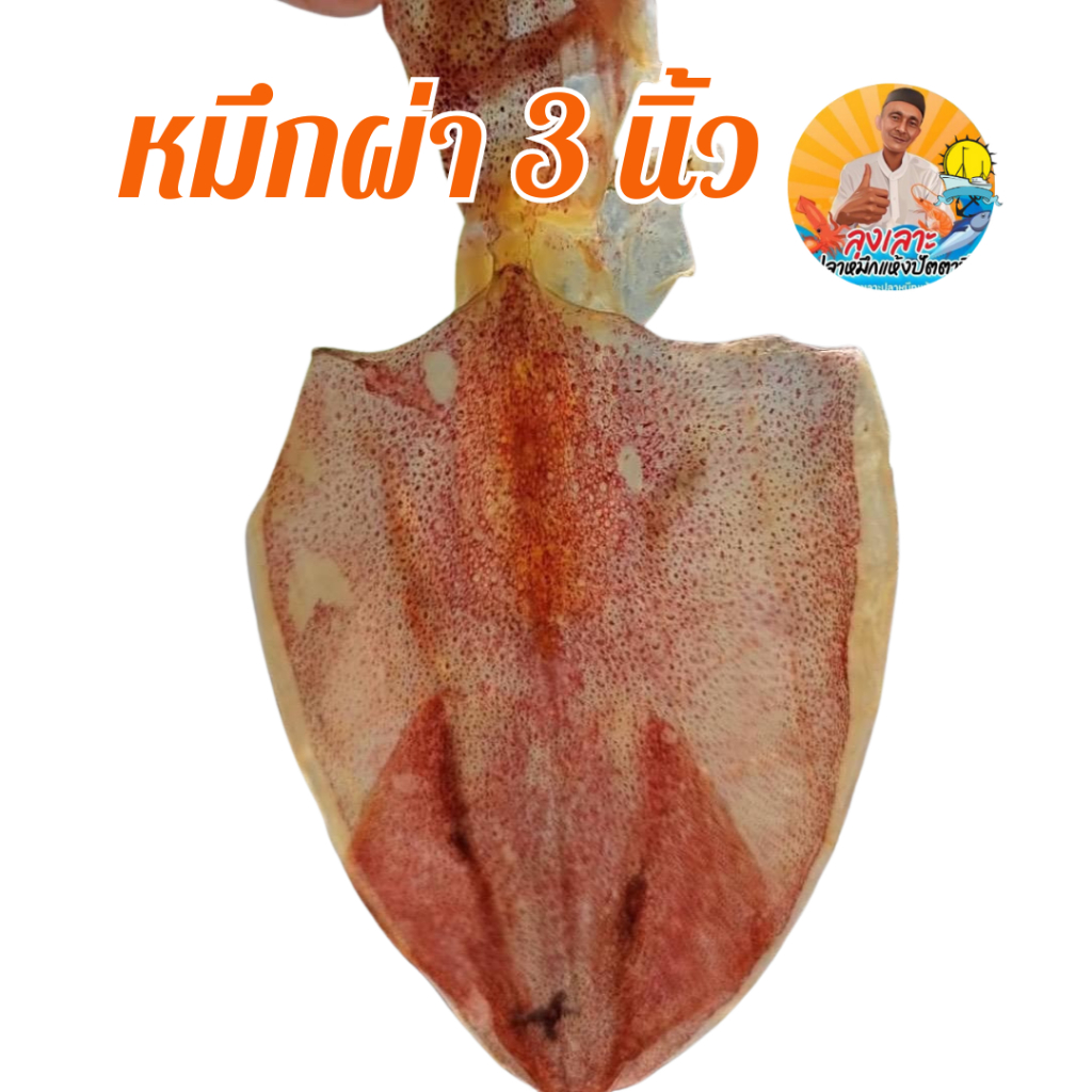 หมึกพาไซด์ 5 นิ้ว หมึกผ่าเนื้อ เนื้ออร่อยไม่เค็ม