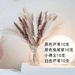 🔥พร้อมส่ง🔥40 ซม. ดอกไม้แห้งกกนิรันดร์ช่อดอกไม้ของขวัญภาพถ่ายตกแต่งบ้านตารางตกแต่งคริสต์มาสปีใหม่ช่อดอกไม้หญ้าแห้งลมนอร์ด
