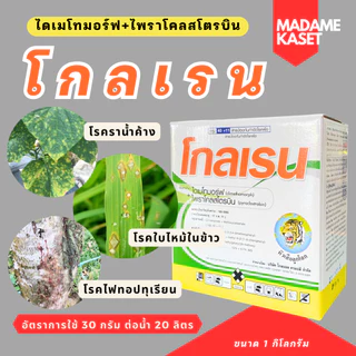 โกลเรน 1 กิโลกรัม (ไดเมโทมอร์ฟ+ไพราโคลสกโตรบิน) ป้องและกำจัดเชื้อรา ราน้ำค้าง โรคใบไหม้ ไฟทอป โรคใบติด ต้นเน่าผลเน่า