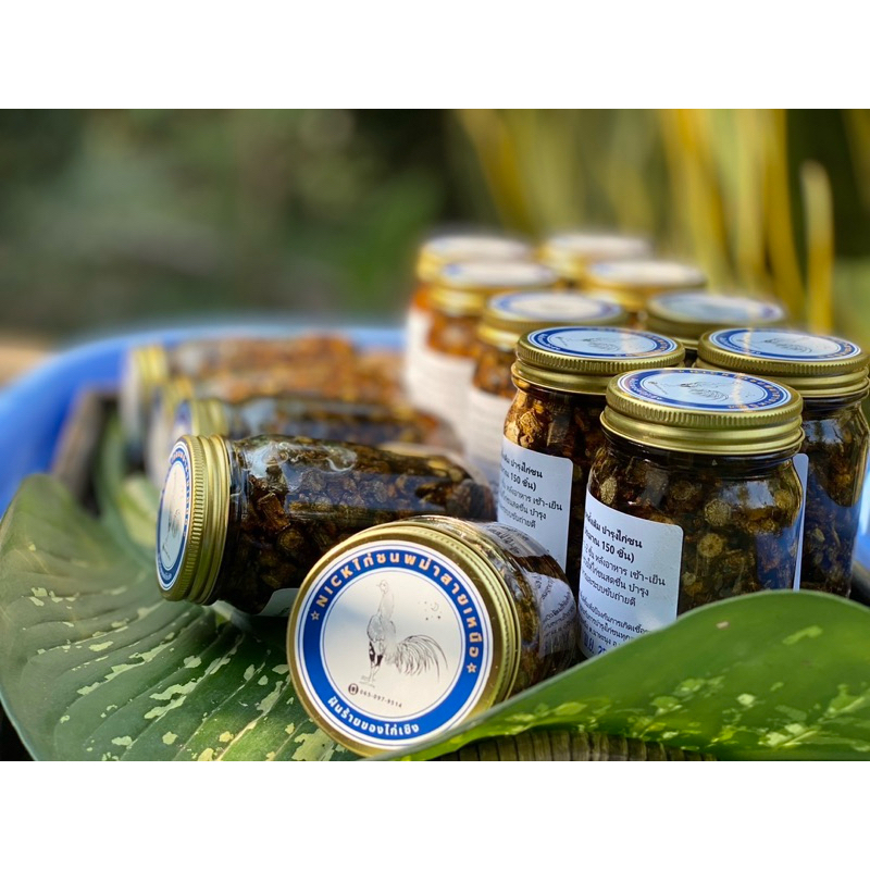 บอระเพ็ดแช่น้ำผึ้ง สูตรดั้งเดิม บำรุงไก่ชน ปริมาณ 250 ML. (ประมาณ 150 ชิ้น)บำรุงกำลัง บำรุงธาตุ เจริญอาหาร ระบบขับถ่ายดี