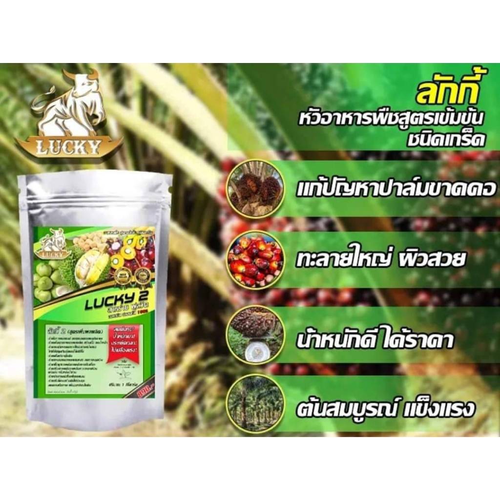ลักกี้ หัวอาหารพืชสูตรเข็มข้นชนิดเกร็ด สูตร 2