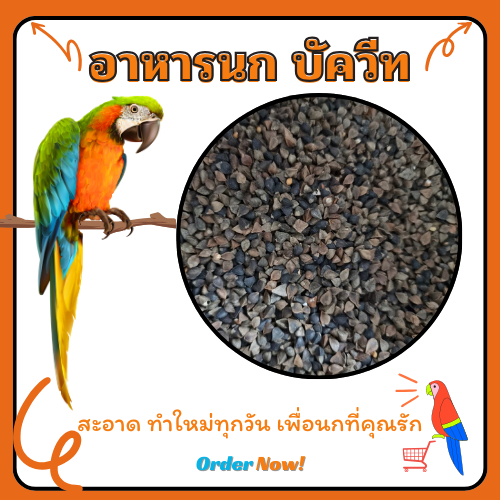 บัควีท แบ่งขาย 1กก 500กรัม