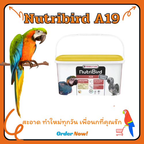 ขนาด3กิโลกรัม​ อาหารนก ​ลูก​ป้อน​นูทรี​เบริ์ด​A19