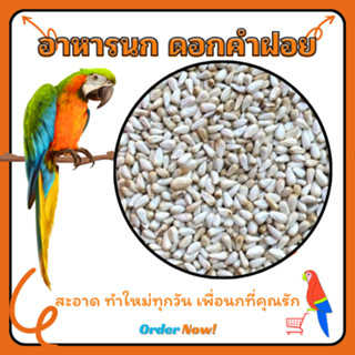 ดอกคำฝอย Safflower (ทานตะวันขาวจิ๋ว) เกรดA เม็ดเล็ก อาหารนกแ…
