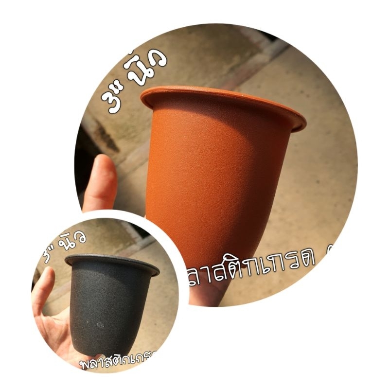 🪴 กระถางพลาสติก 3 นิ้ว 10 ใบ🪴พลาสติกเกรดA มือ 1 ทางสวยไม่เชย